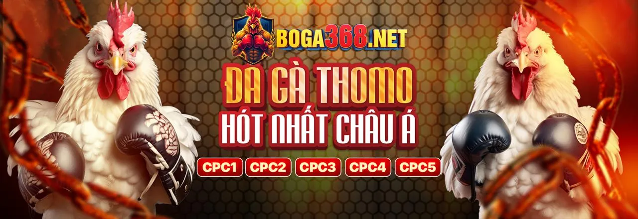 Đá gà trực tuyến iwin456